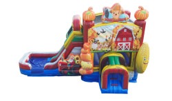 Farmyard Dual Lane Combo